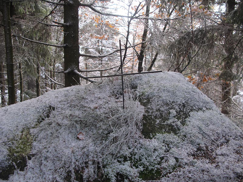 waldviertel